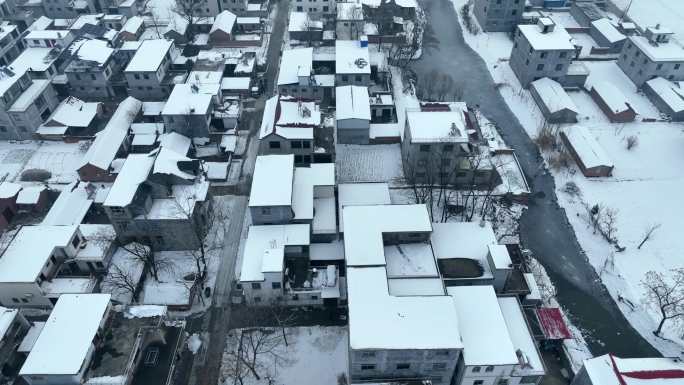 4K北方农村雪景下雪