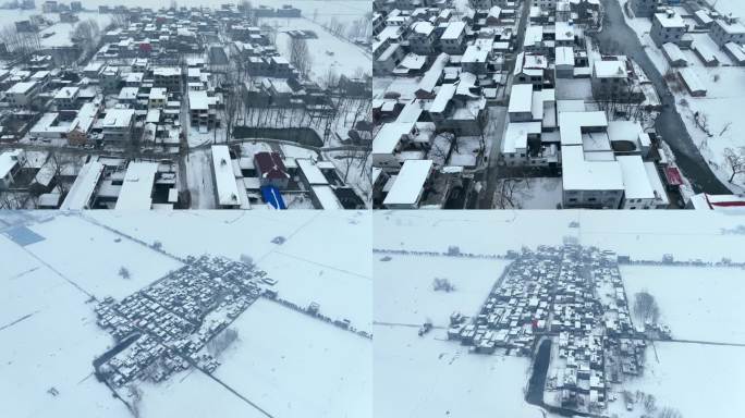 4K北方农村雪景下雪