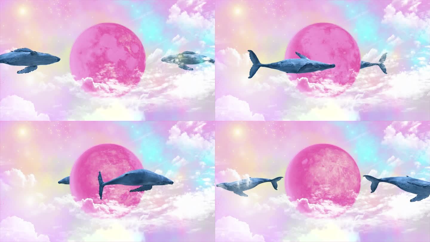 梦幻鲸鱼循环背景AE模板