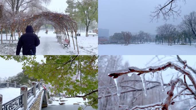 冻雨结冰下雪冬季雪天