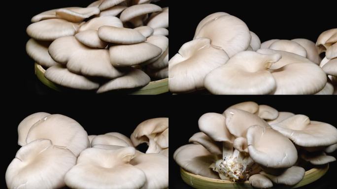 平菇视频蘑菇吃
