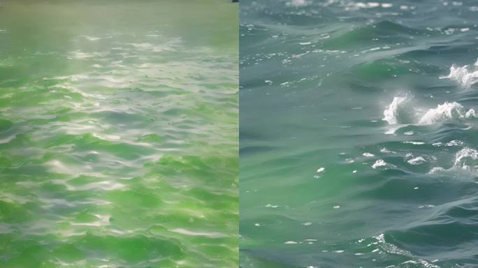 4k竖屏清新绿色水波涟漪
