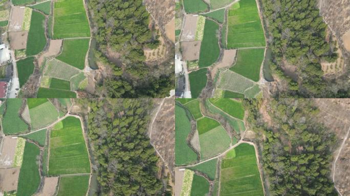 田地 风景 山水 山河 壮丽 大自然