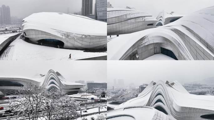 长沙梅溪湖艺术中心雪景