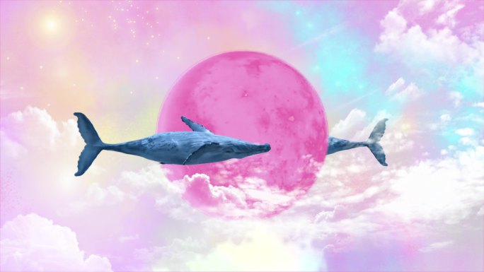 梦幻鲸鱼循环背景