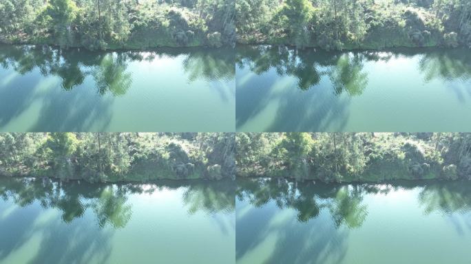 俯拍河面飞鸟河流绿色河水自然生态环境风景