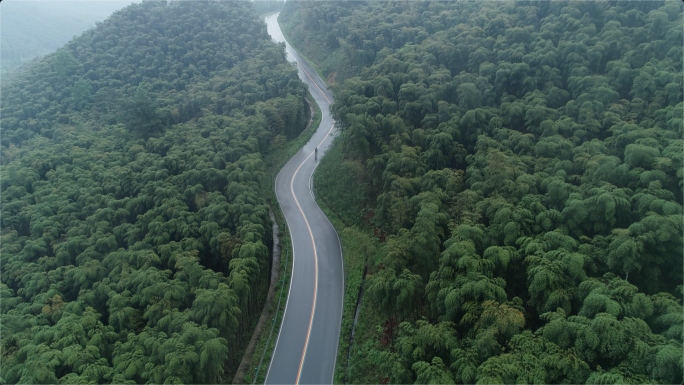 山地公路自行车户外骑行