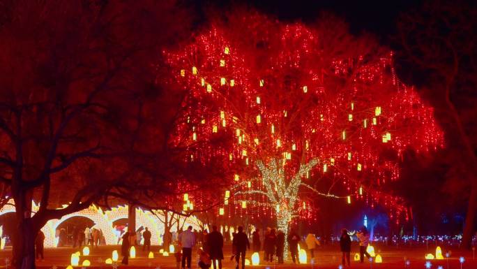 新年氛围灯会闪烁的满树的红色彩灯