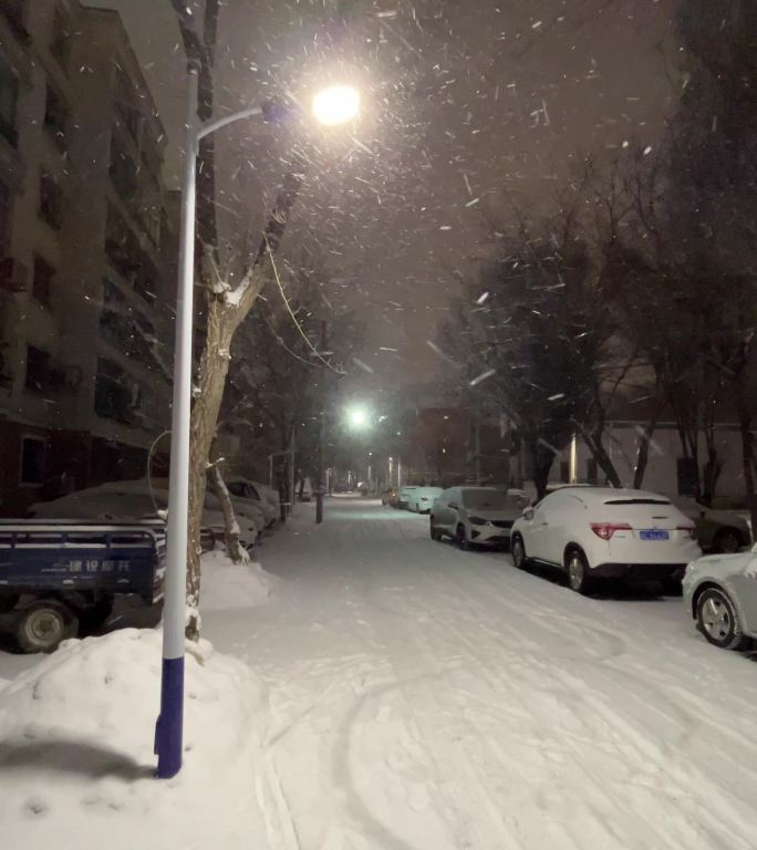 路灯下纷飞的雪花