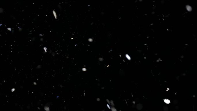 实拍鹅毛大雪纷飞 狂风夹雨加雪恶劣天气