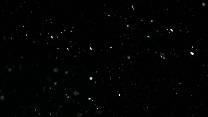 实拍鹅毛大雪纷飞 狂风夹雨加雪恶劣天气