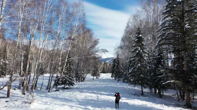 4K新疆喀纳斯禾木雪景合集