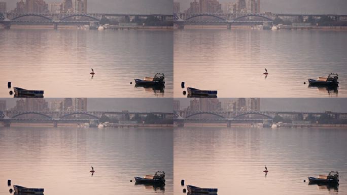 钱塘江上的小渔船和复兴大桥