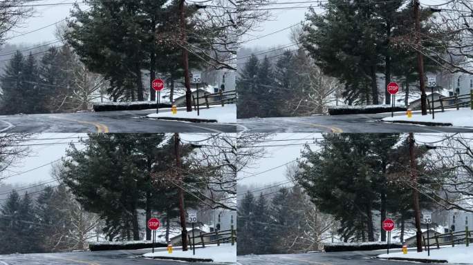 冬日里，纽约郊区下雪的东北风的慢动作视频。