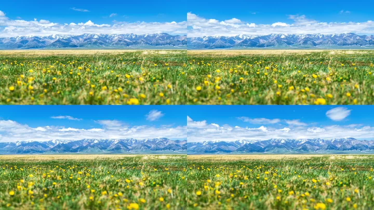 新疆赛里木湖草原