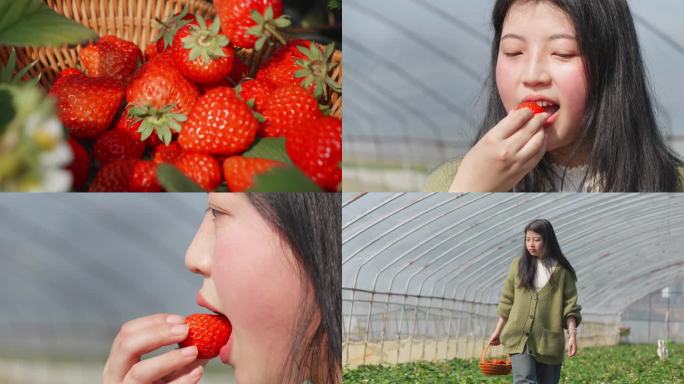 4k草莓采摘园广告素材