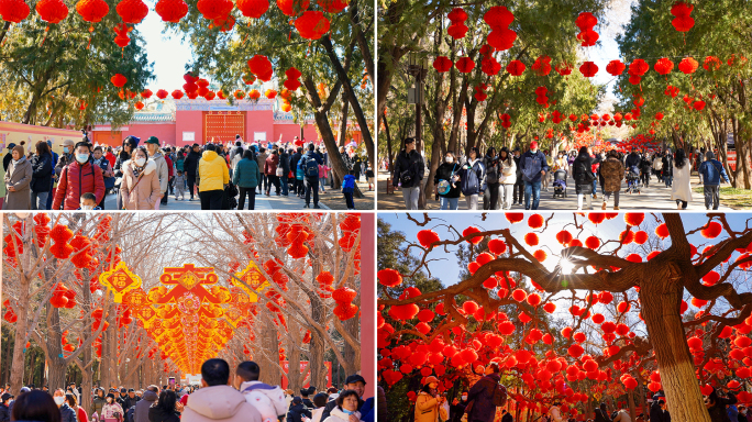 北京龙年 地坛庙会 过年氛围