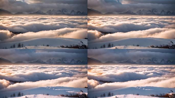 雪山云雾森林阳光树林远山峰大自然生态风景