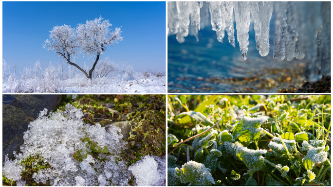 春天冰雪融化 万物复苏