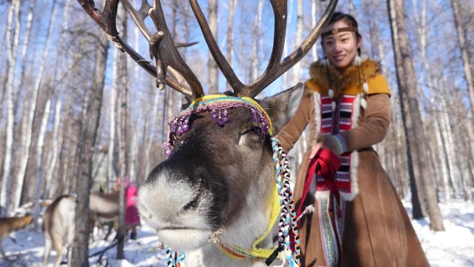 4K视频驯鹿与鄂温克民族少女