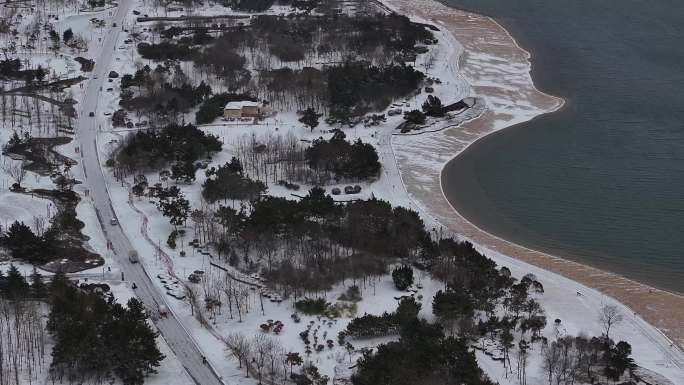 4K雪景海边沙滩树木