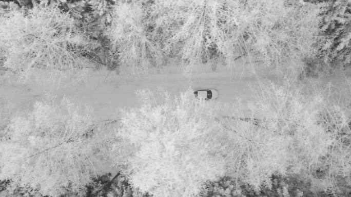 汽车行驶在大雪纷飞的森林里 原创4K