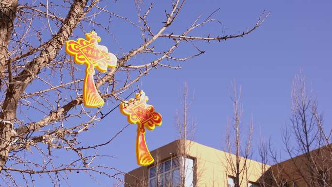 春节 中国年 福袋 喜庆装饰素材