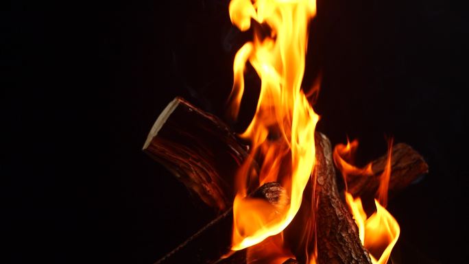 柴火 火堆 木头燃烧 炉火 灶火 火焰