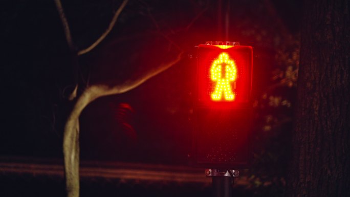 晚上杭州南山路的人行红绿灯