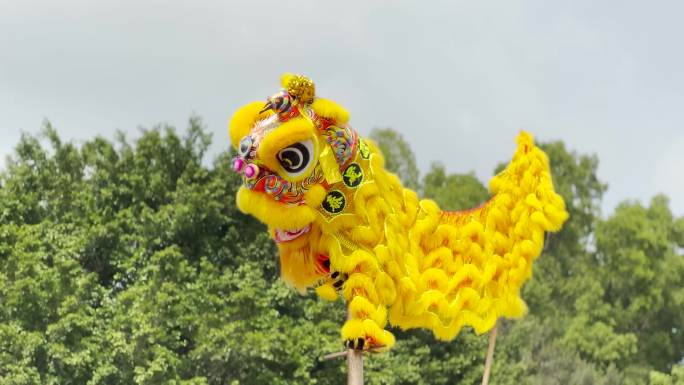 岭南醒狮高台舞狮