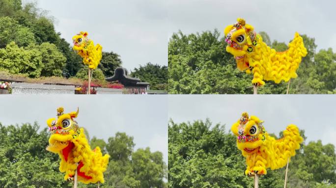 岭南醒狮高台舞狮