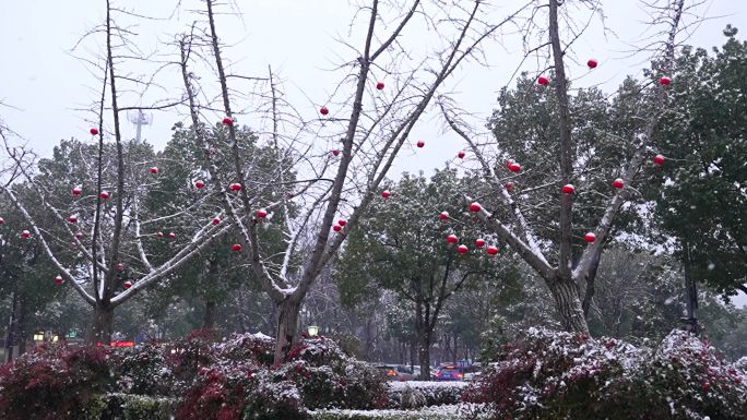 桐乡高铁站雪景