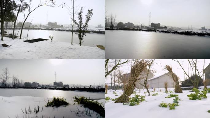 湖南大雪下的乡村油菜水塘农村场景雪景