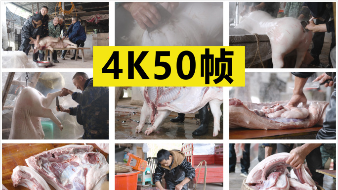 农村过年杀猪全过程 原创4K50帧