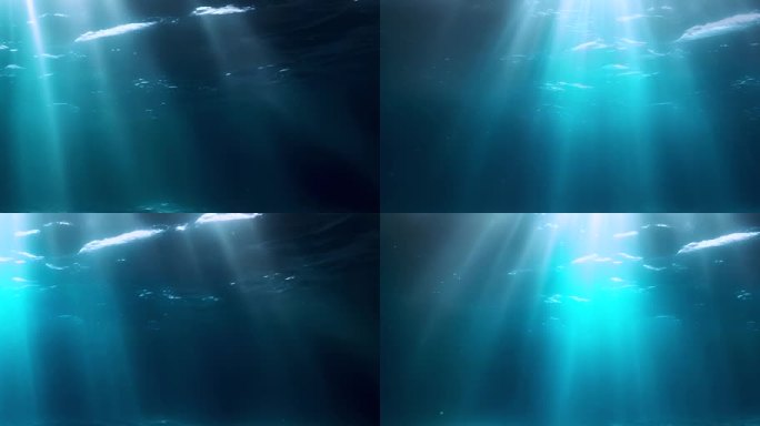 海底世界 深蓝背景循环视频素材