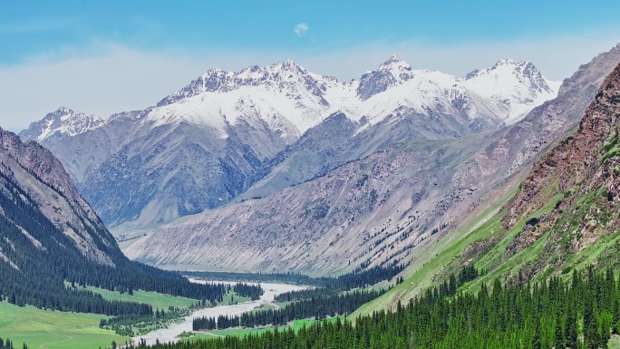 新疆 雪山 草原 森林 河谷