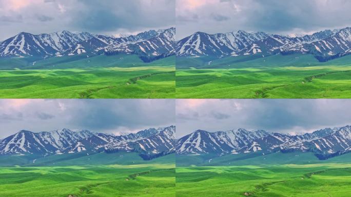 新疆 雪山 草原 森林 航拍