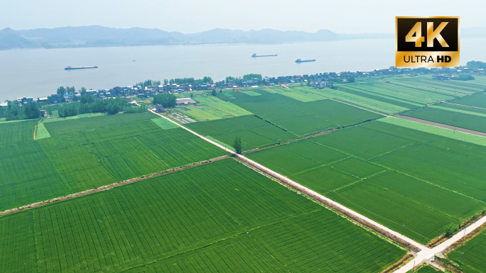 安徽望江长江沿岸农田航拍