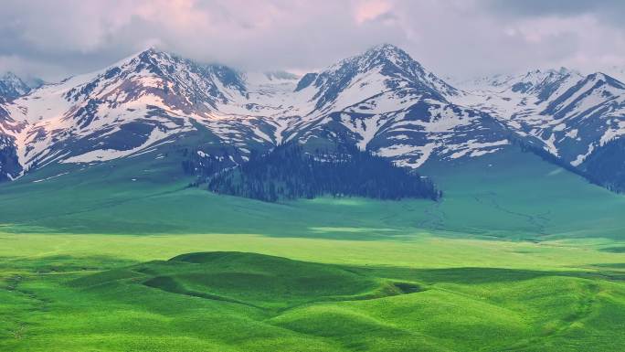 航拍新疆雪山草原