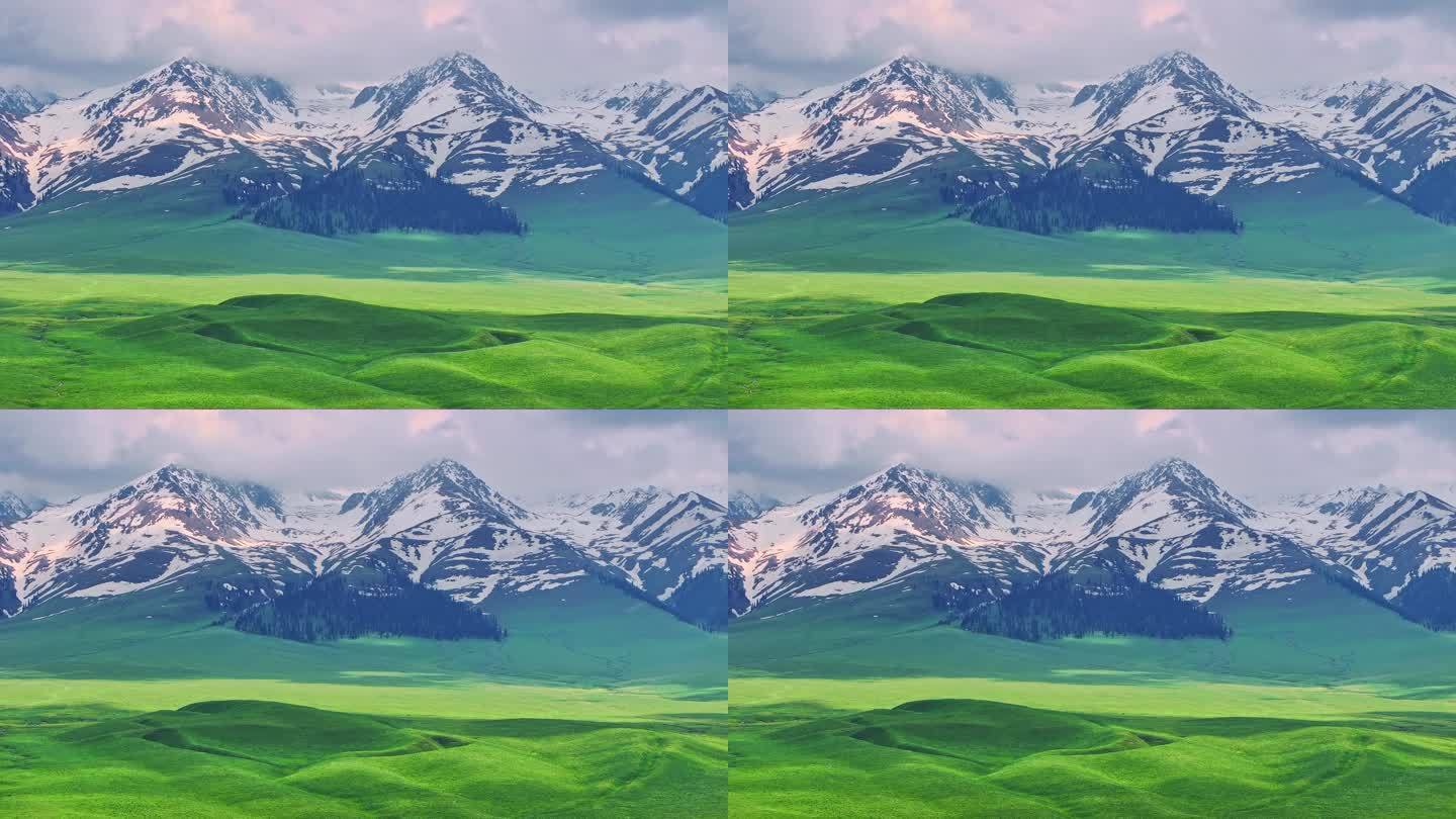 航拍新疆雪山草原