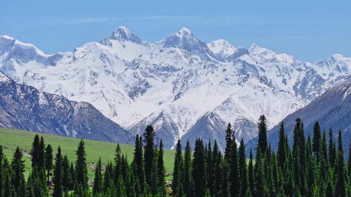 雪山 草原 森林