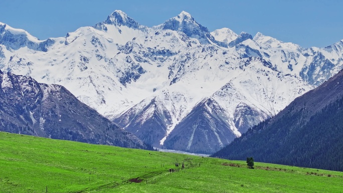 航拍新疆夏塔雪山下的草原