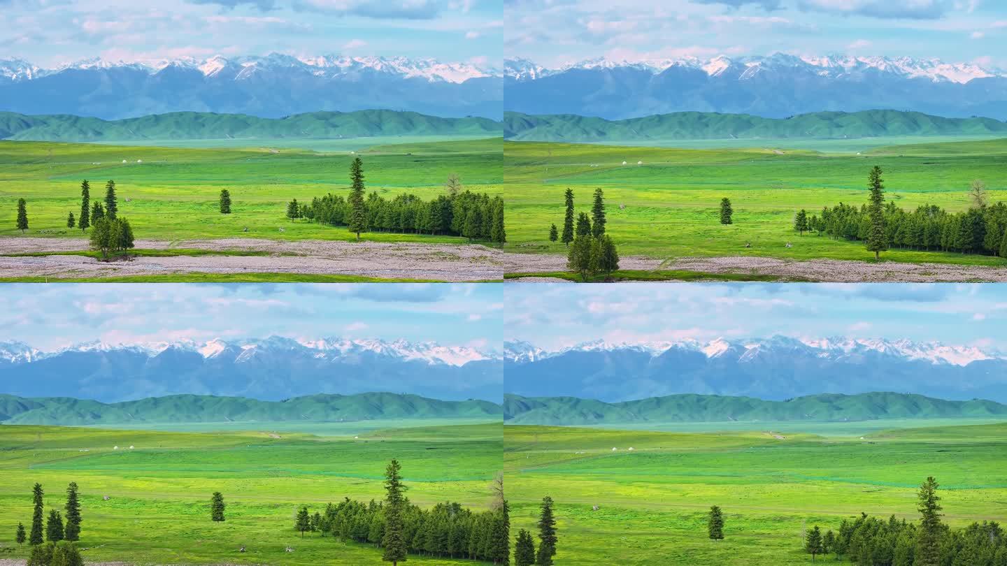 航拍新疆伊犁那拉提空中草原