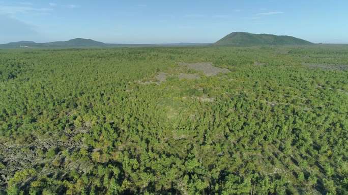 五大连池火山 森林 夏天的五大莲池 航拍