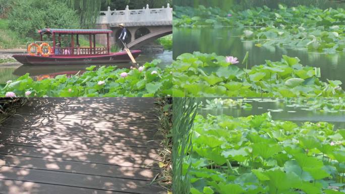 北京 紫竹院公园 园内的环境