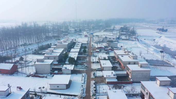 新农村雪景航拍