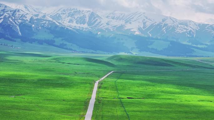 新疆 那拉提 雪山 草原