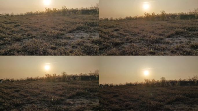 黄昏夕阳野草山坡晚霞草地日落风吹草动