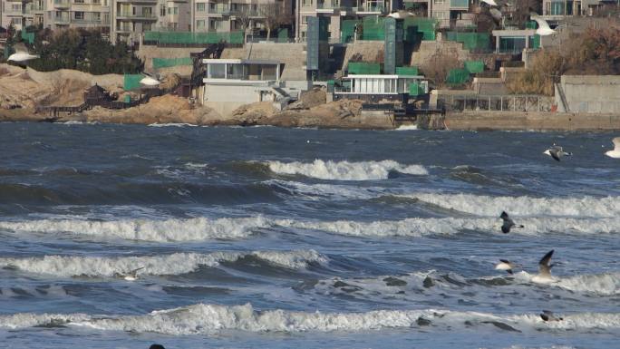 航拍威海金海滩海水浴场冬季游客海浪海鸥