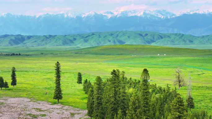 新疆那拉提雪山下的空中草原